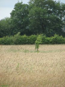 Greenwich Meridian Marker; England; Surrey; Oxted